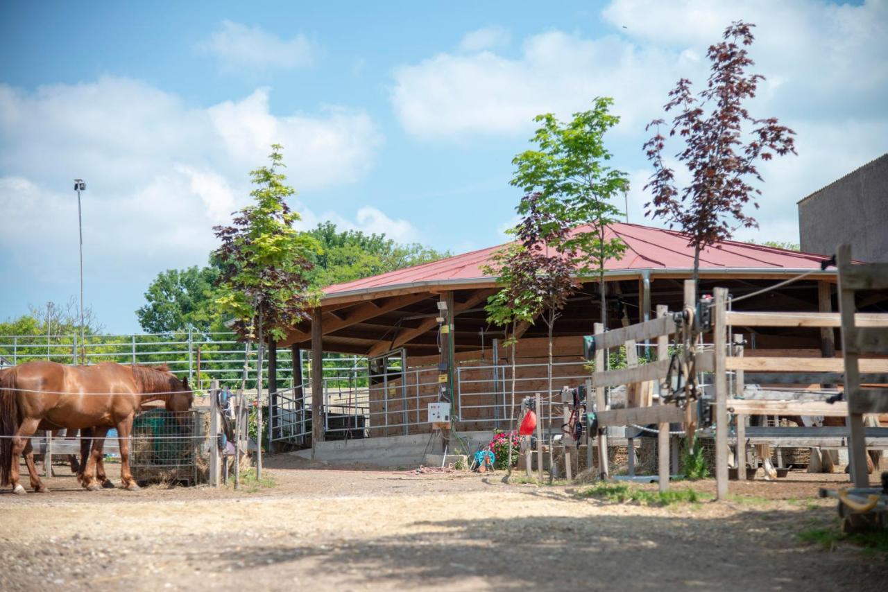 Ranchzimmer am Hippo-Campus Reit- und Therapiezentrum Deutsch Haslau Exterior foto